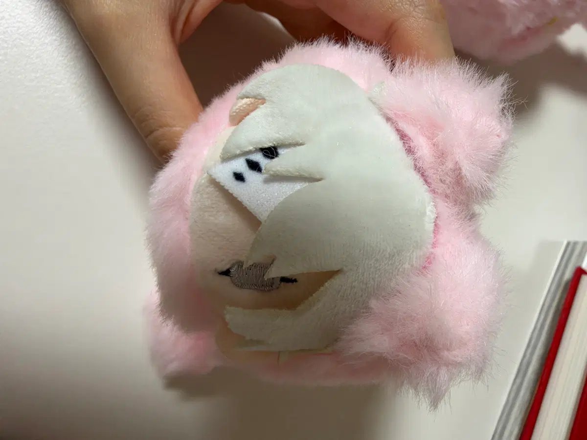 문스독 니콜라이 벚꽃 하루냥코 누이