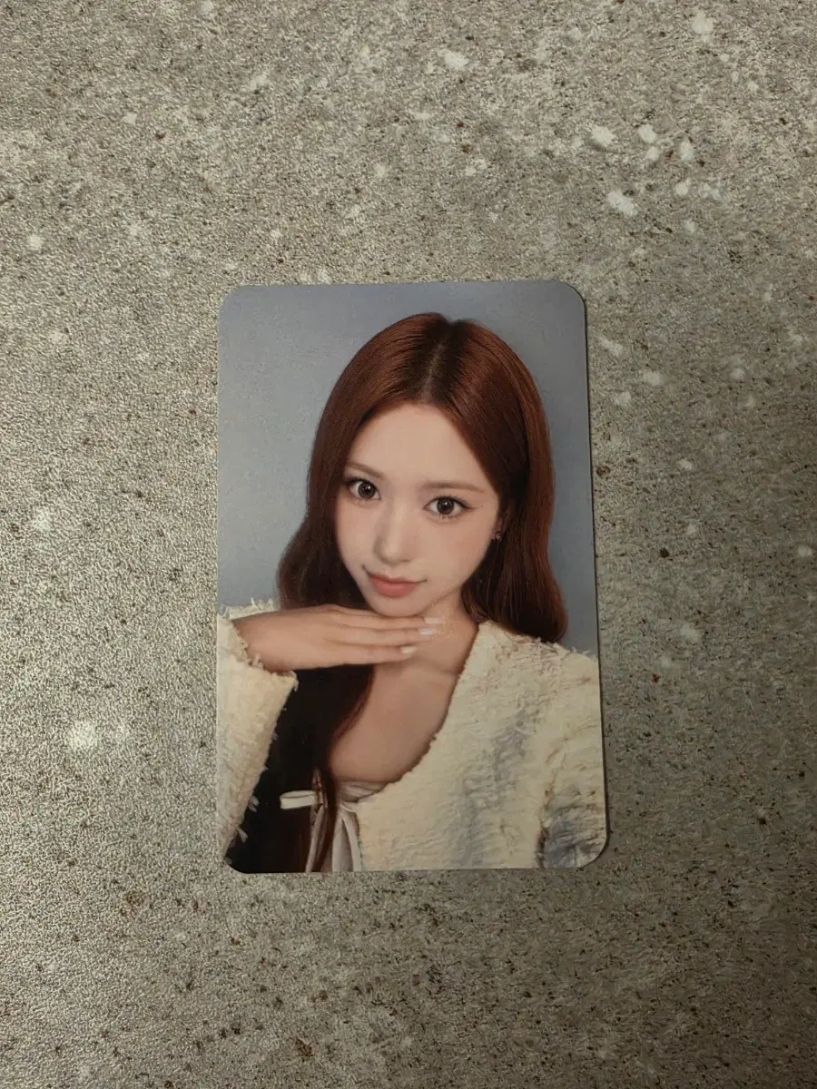 리센느 할리스 제나 포카 판매