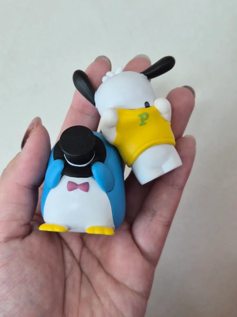 산리오 포차코 턱시도샘 가챠 일괄