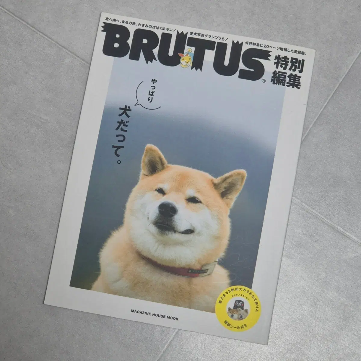 일본잡지 brutus 특별판 2016년 출판