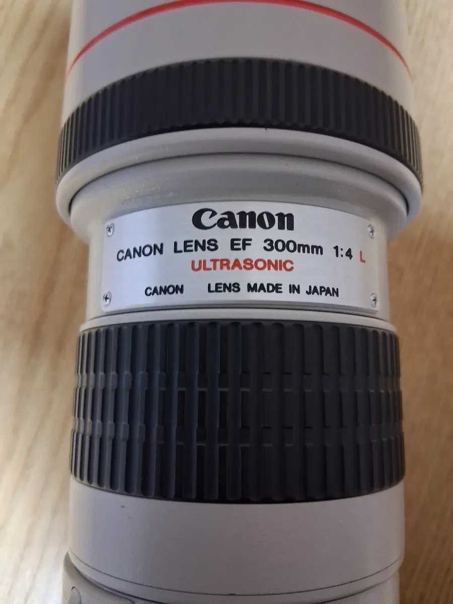 캐논 EF 300mm F4 L USM 렌즈