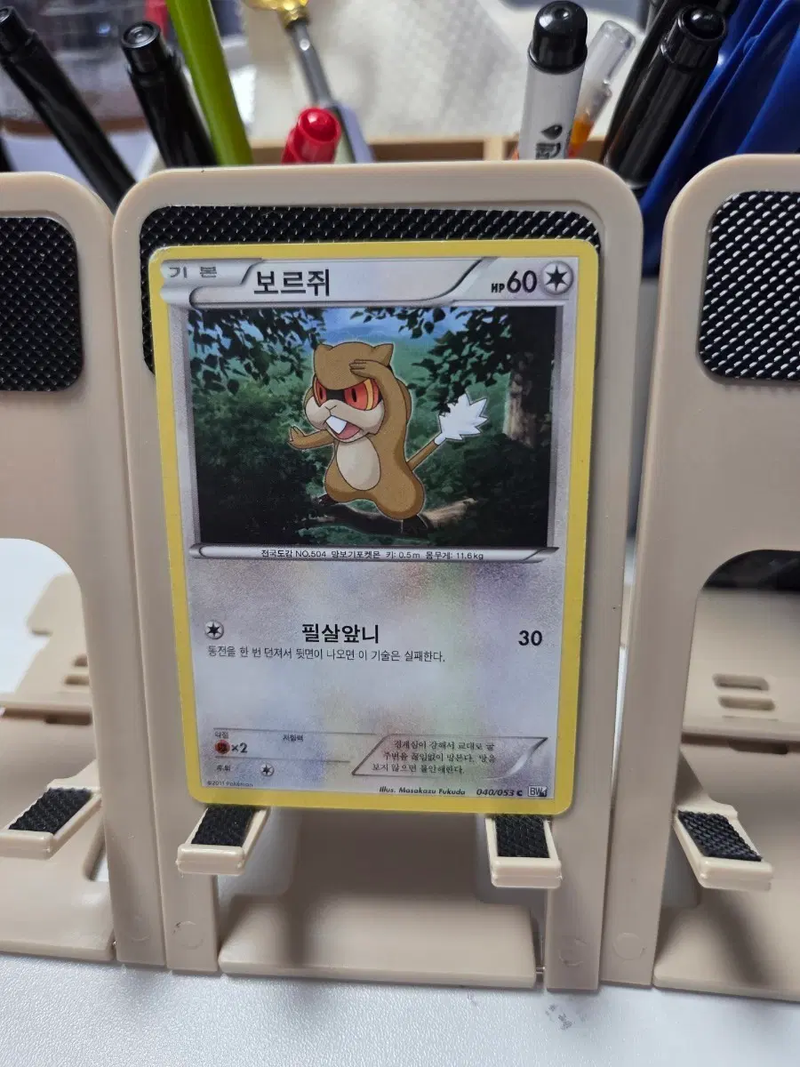 포켓몬 카드 보르쥐