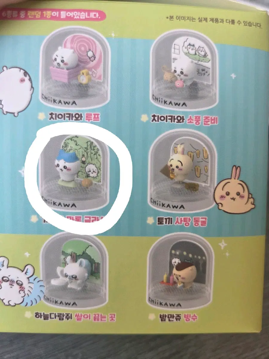 먼작귀 워터볼 메이커(하치)