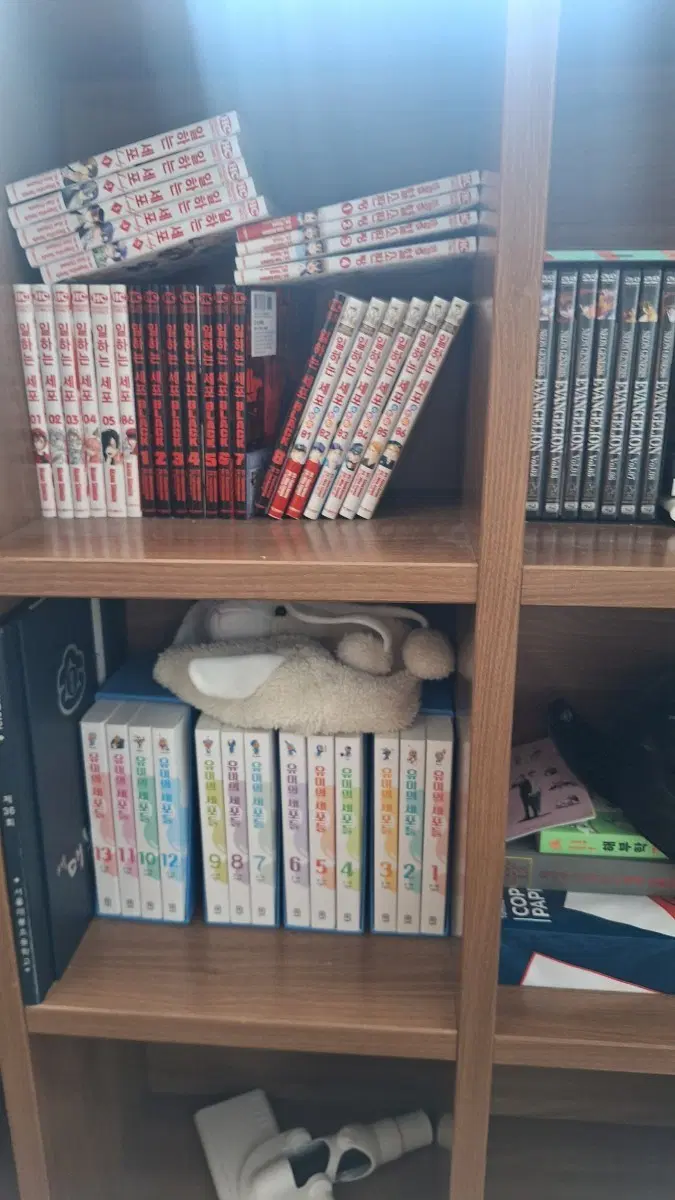 만화책,dvd(일하는 세포, 에반게리온)