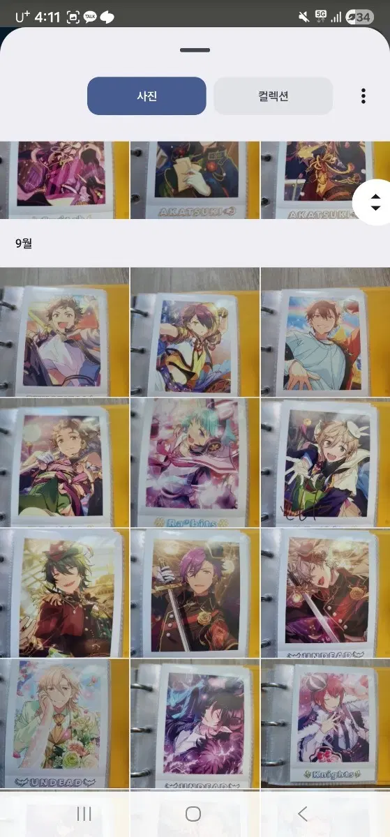 앙스타 파샤 판매