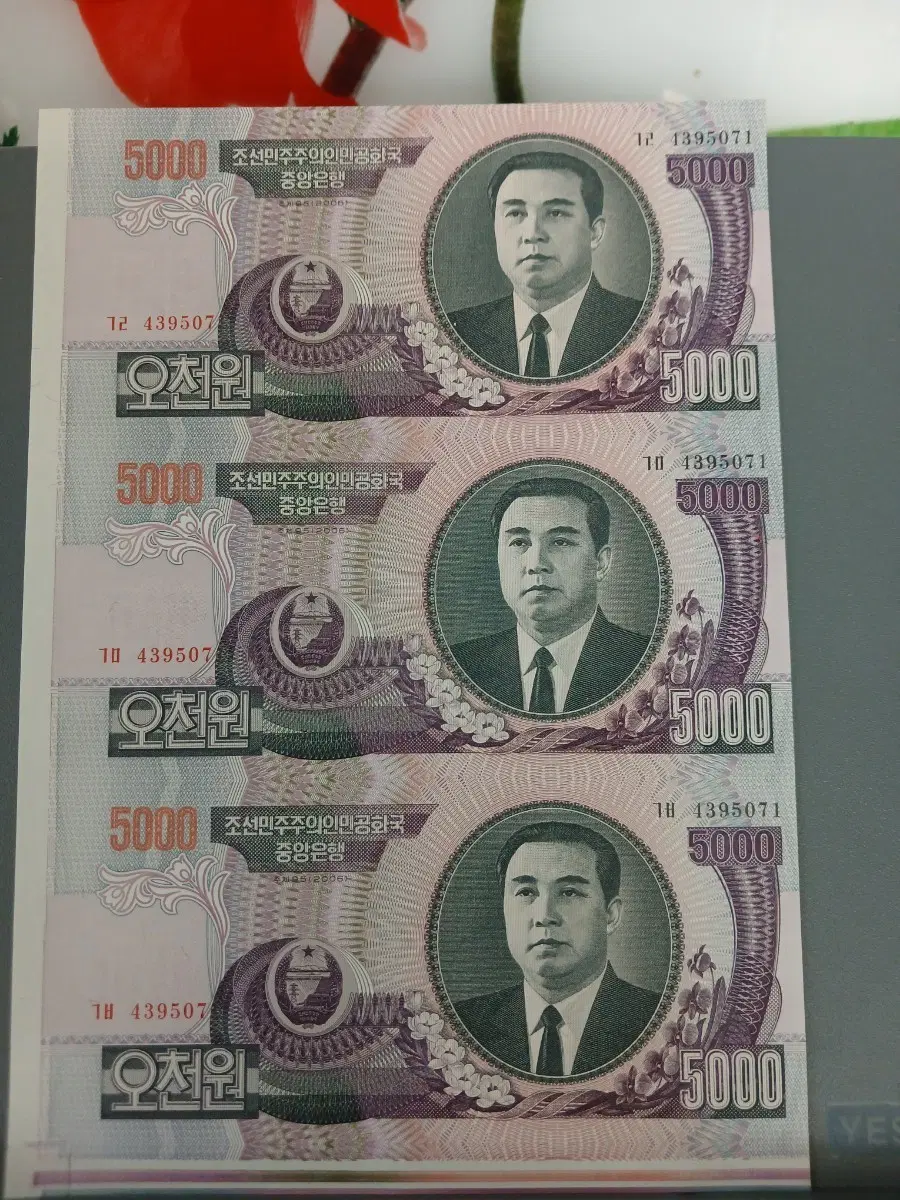 북한 5000원권 지폐 3장