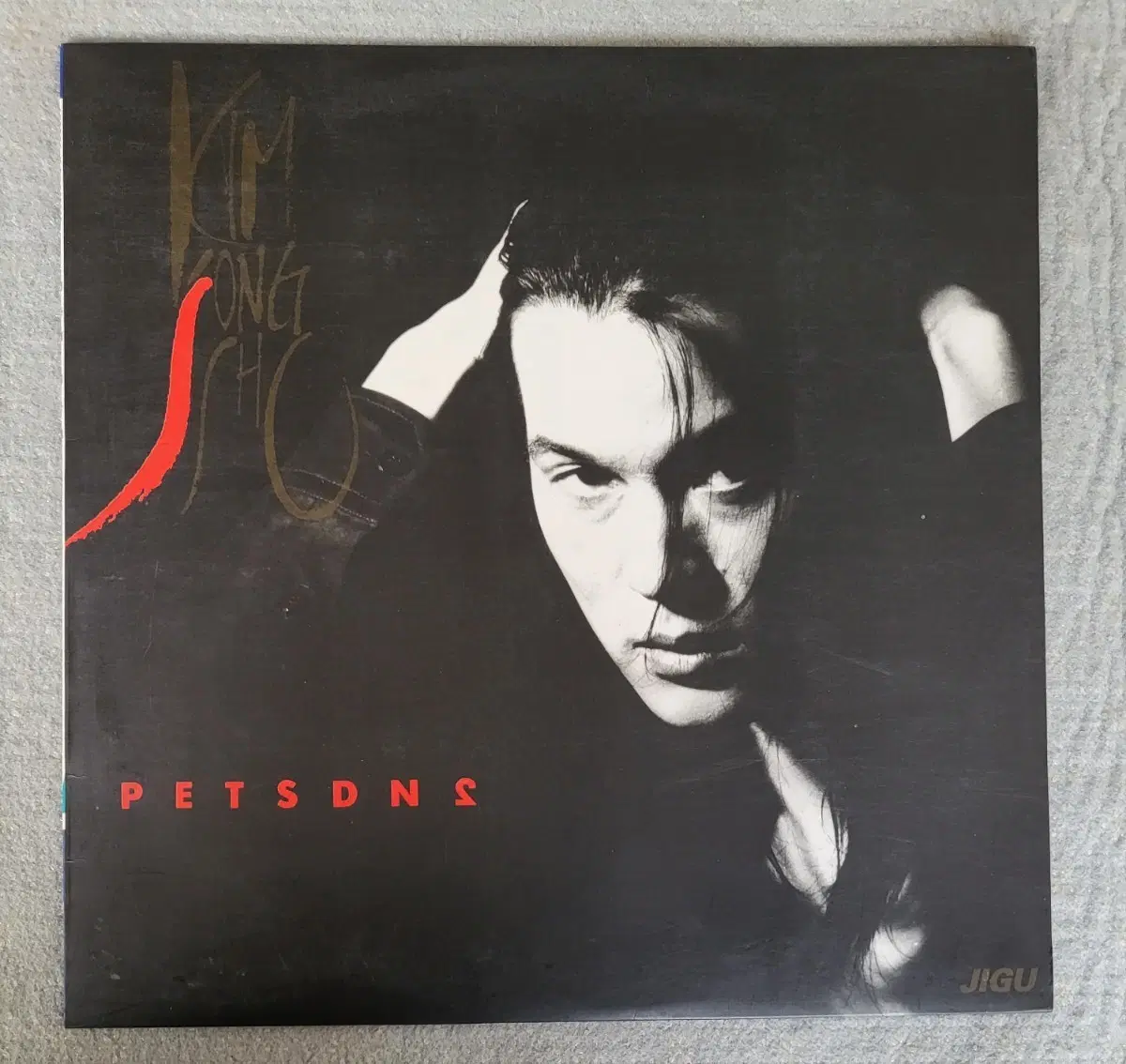 LP 김종서 2집- Petsdns Jigu