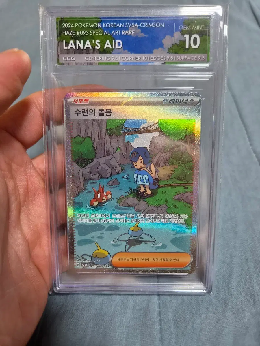 수련의돌봄 sar ccg 10