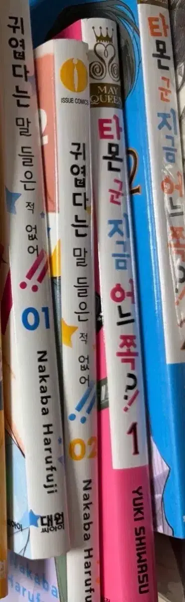 순정 만화 양도합니다 타몬 군 지금 어느 쪽?!, 귀엽다는 말 들은 적 없어!!