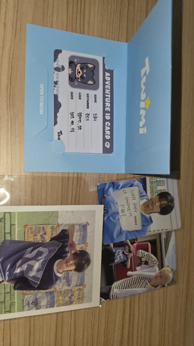 도쥬니 모험증 디아이콘 포토카트 일괄