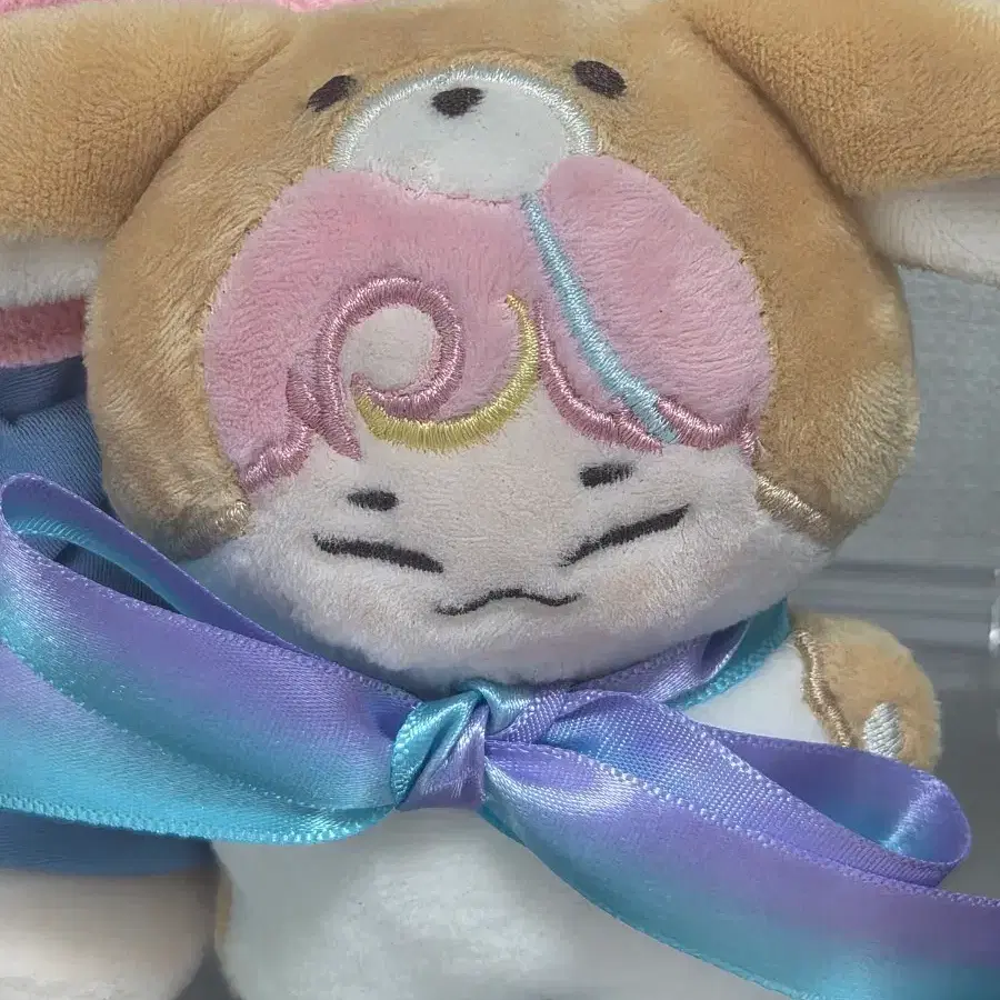 사막쭈니 판매
