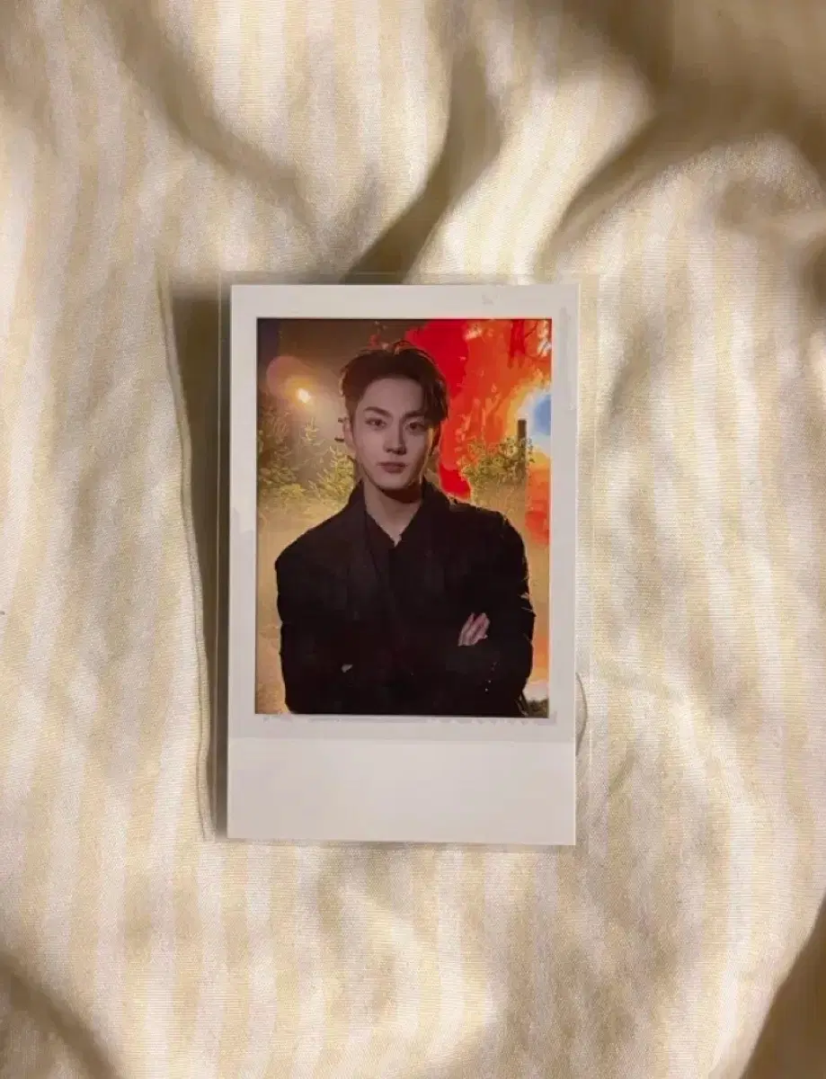 엔하이픈 정원 블사콘 엔진존 드코 럭드