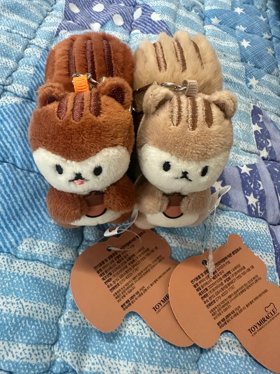 코리모리 다람쥐 인형