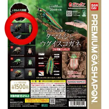 생물대도감 어드밴스 타마무시와 우구이스코가네 야마토타마무시