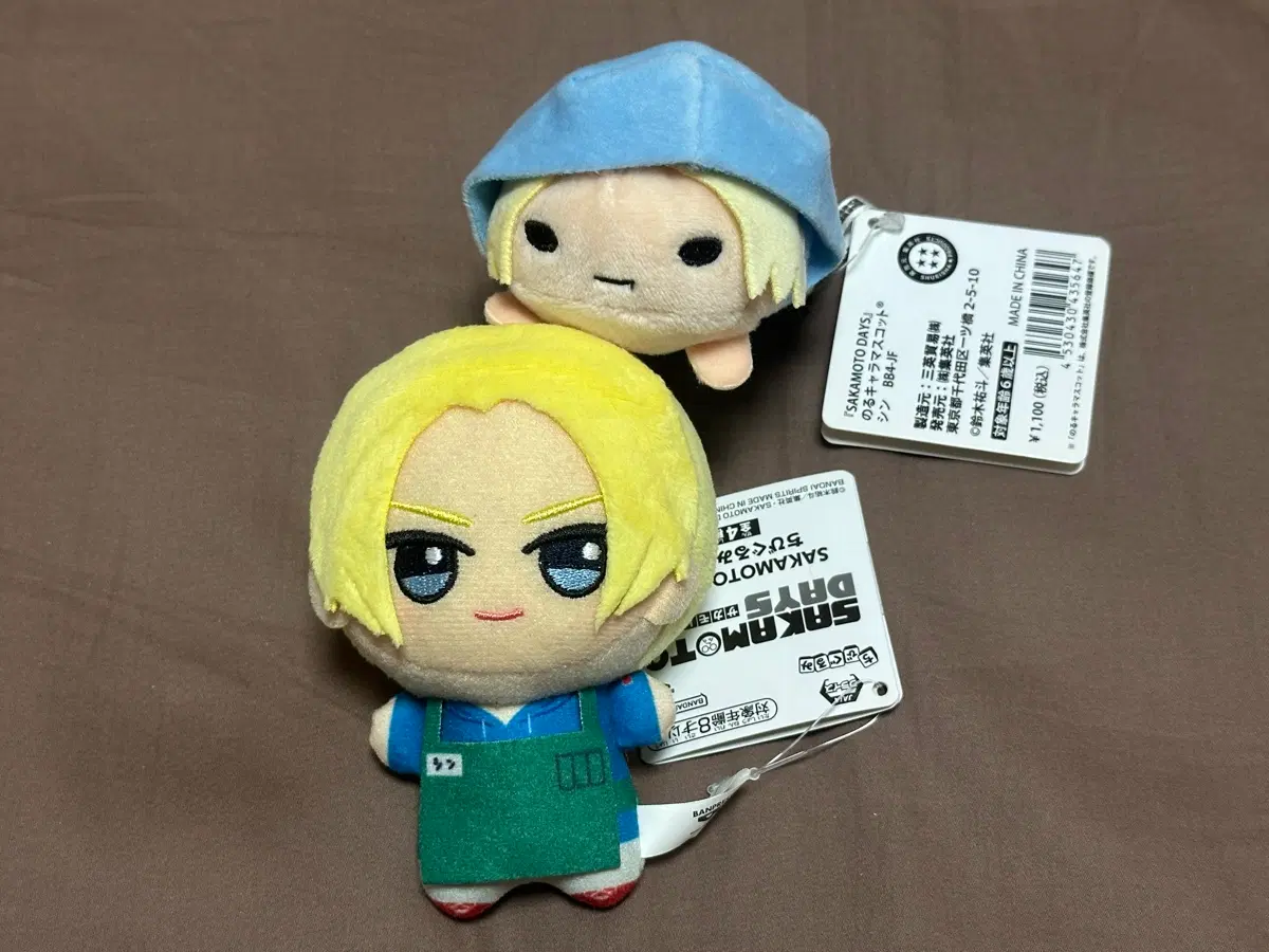 사카모토데이즈 사카데이 아사쿠라 신 누이 쯔무