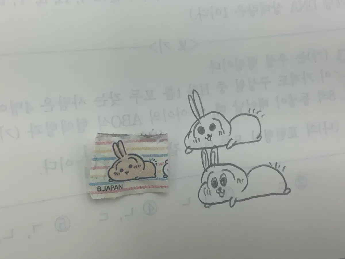 강k 수학 짝수회차