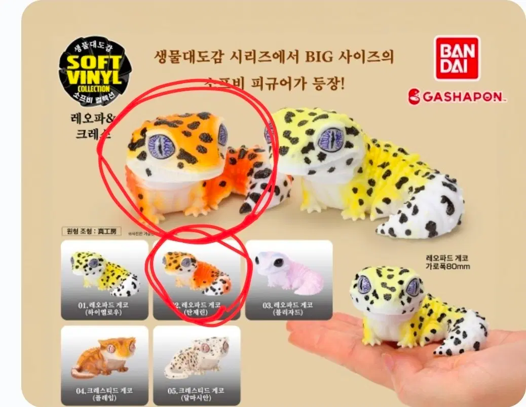 미개봉 생물대도감 레오파&크레스 레오파드게코 탄제린 도마뱀 피규어
