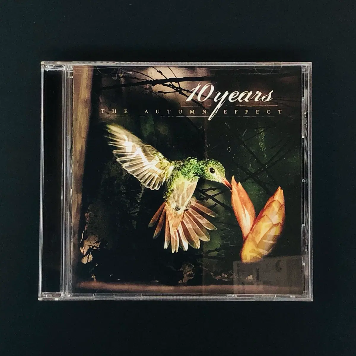 [CD중고] 10 이어스 (10 Years) / The Autumn Effect
