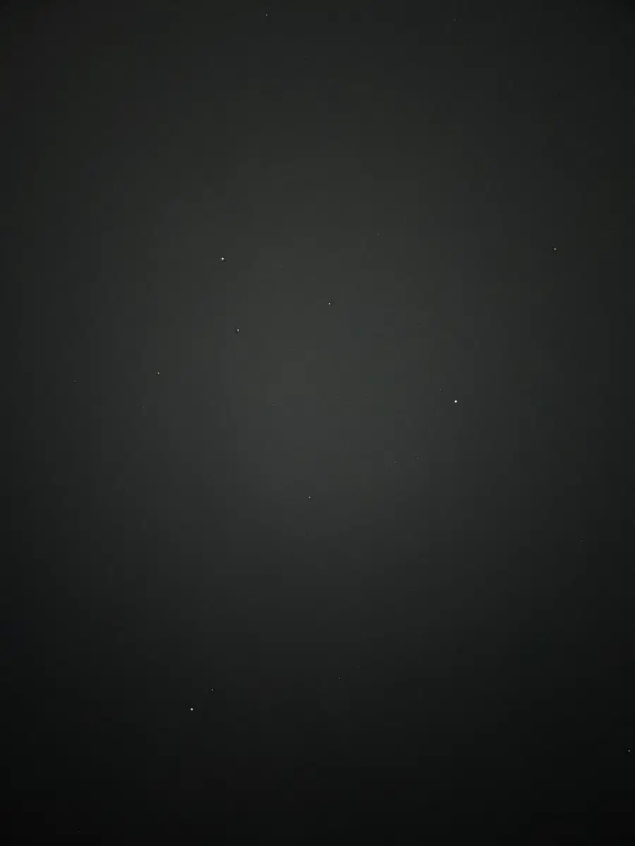 코닥카메라-뉴진면님