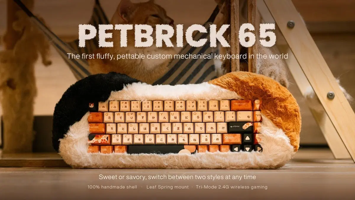 키보드 PETBRICK 65