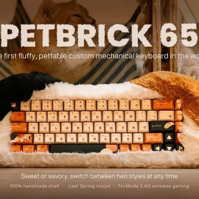 키보드 PETBRICK 65