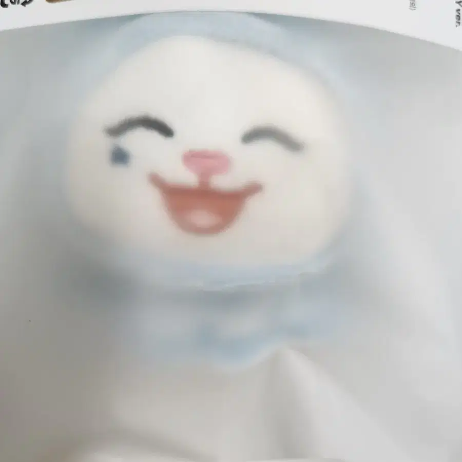 투어스 지훈 페이스플러쉬키링