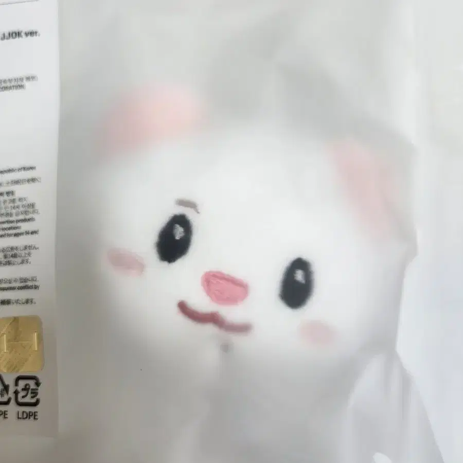 투어스 신유 페이스플러쉬키링 JJOK