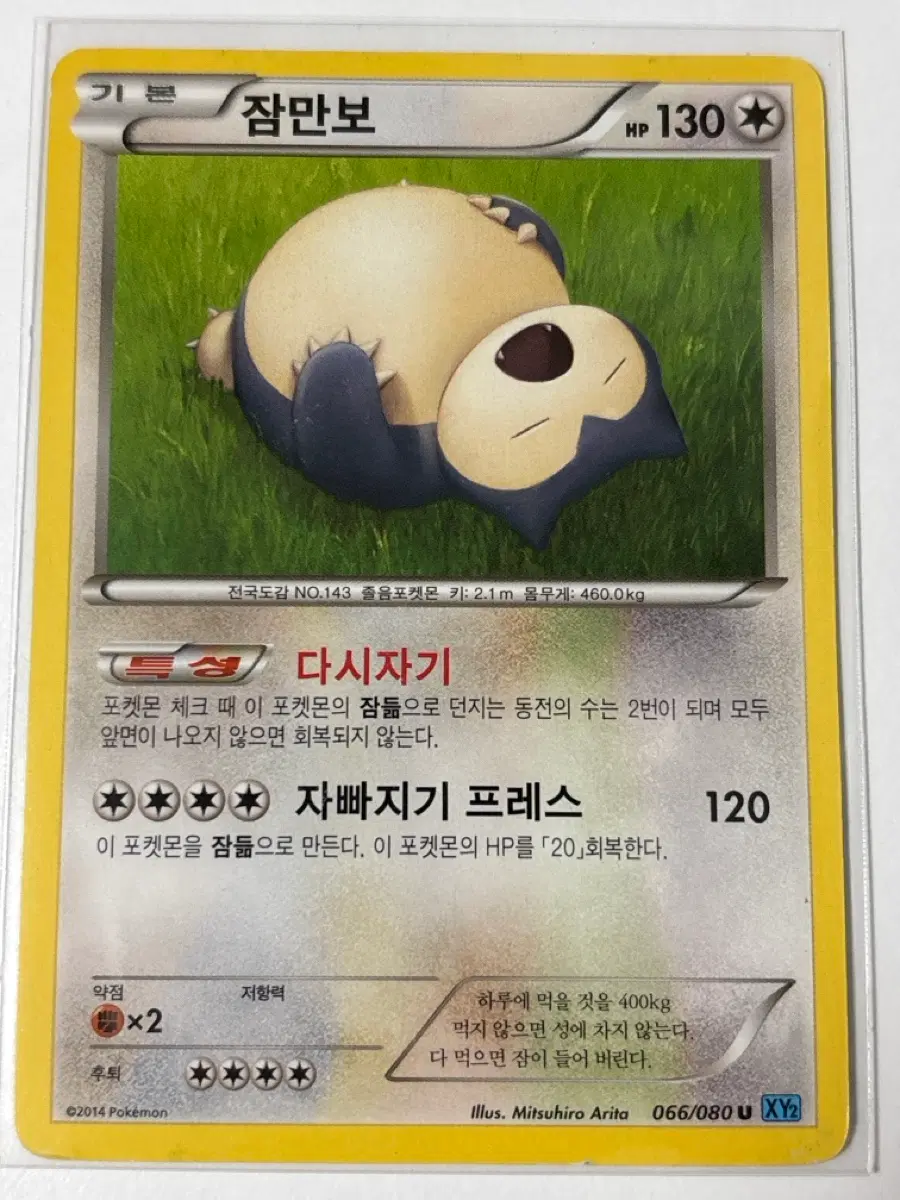 포켓몬카드 2014년 잠만보 xy2