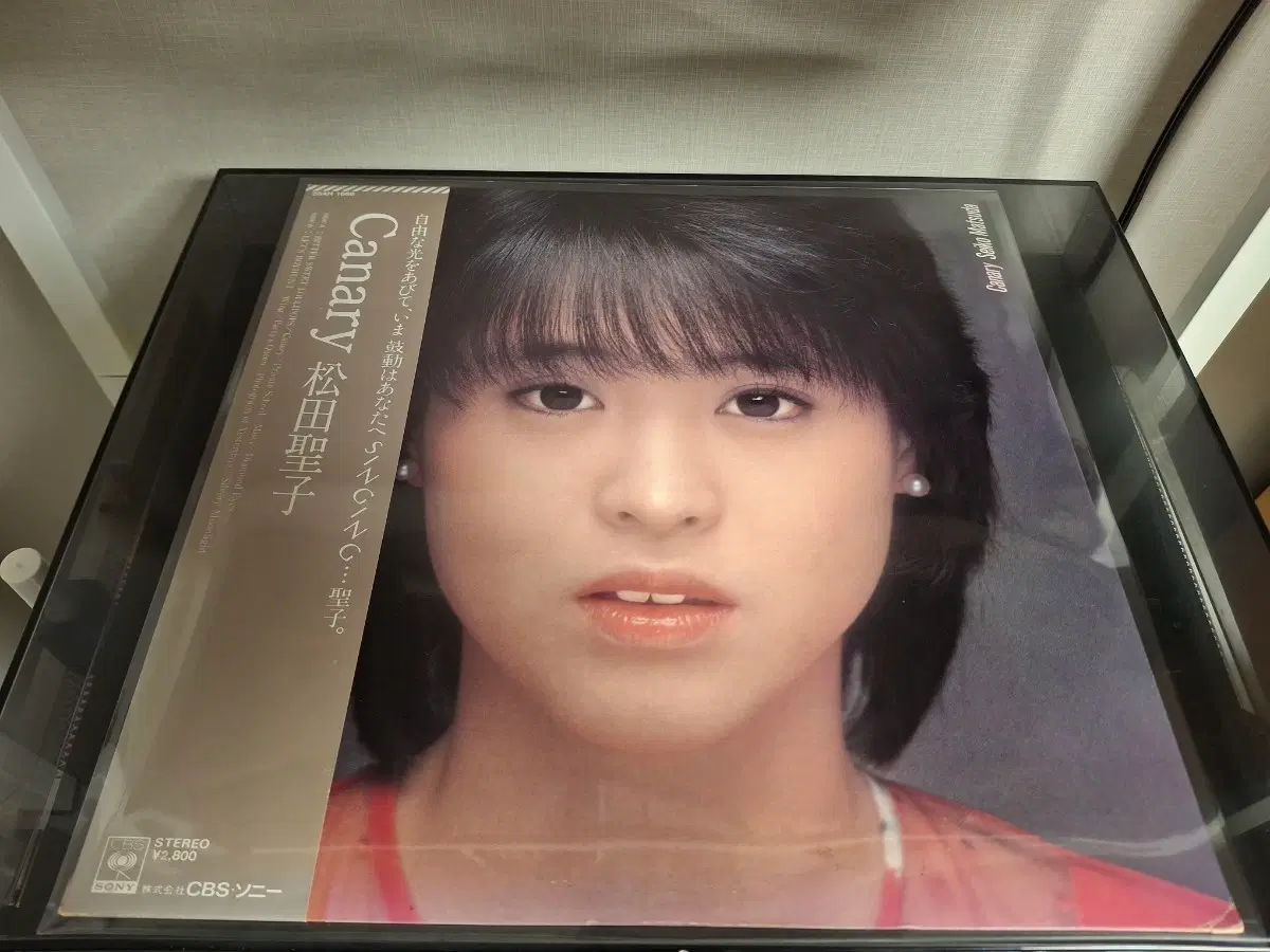 마츠다 세이코 Matsuda Seiko 엘피 LP - Canary