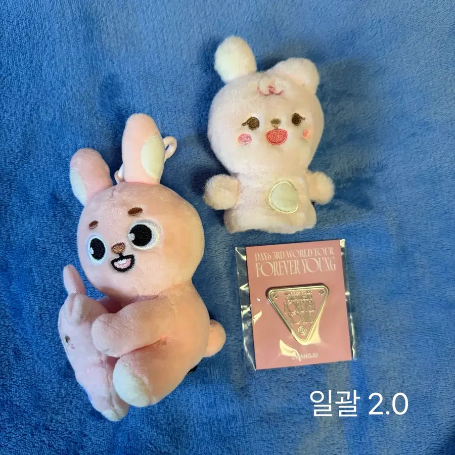 데이식스 굿즈 필
