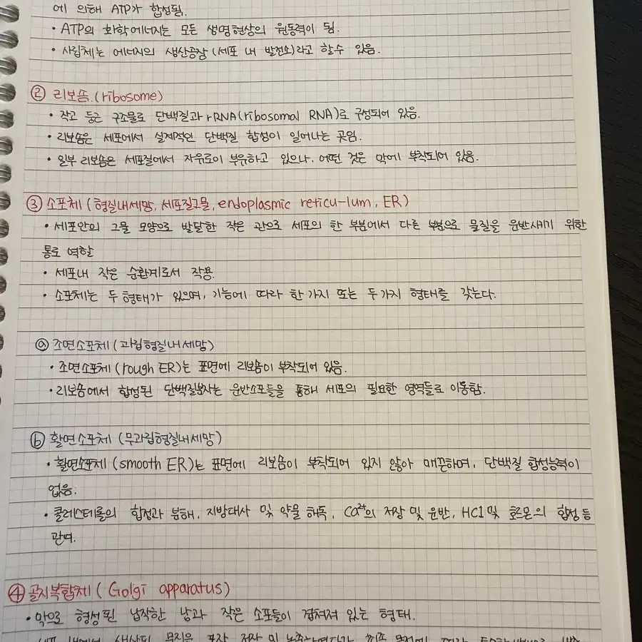 해부학 정리본 팔아요
