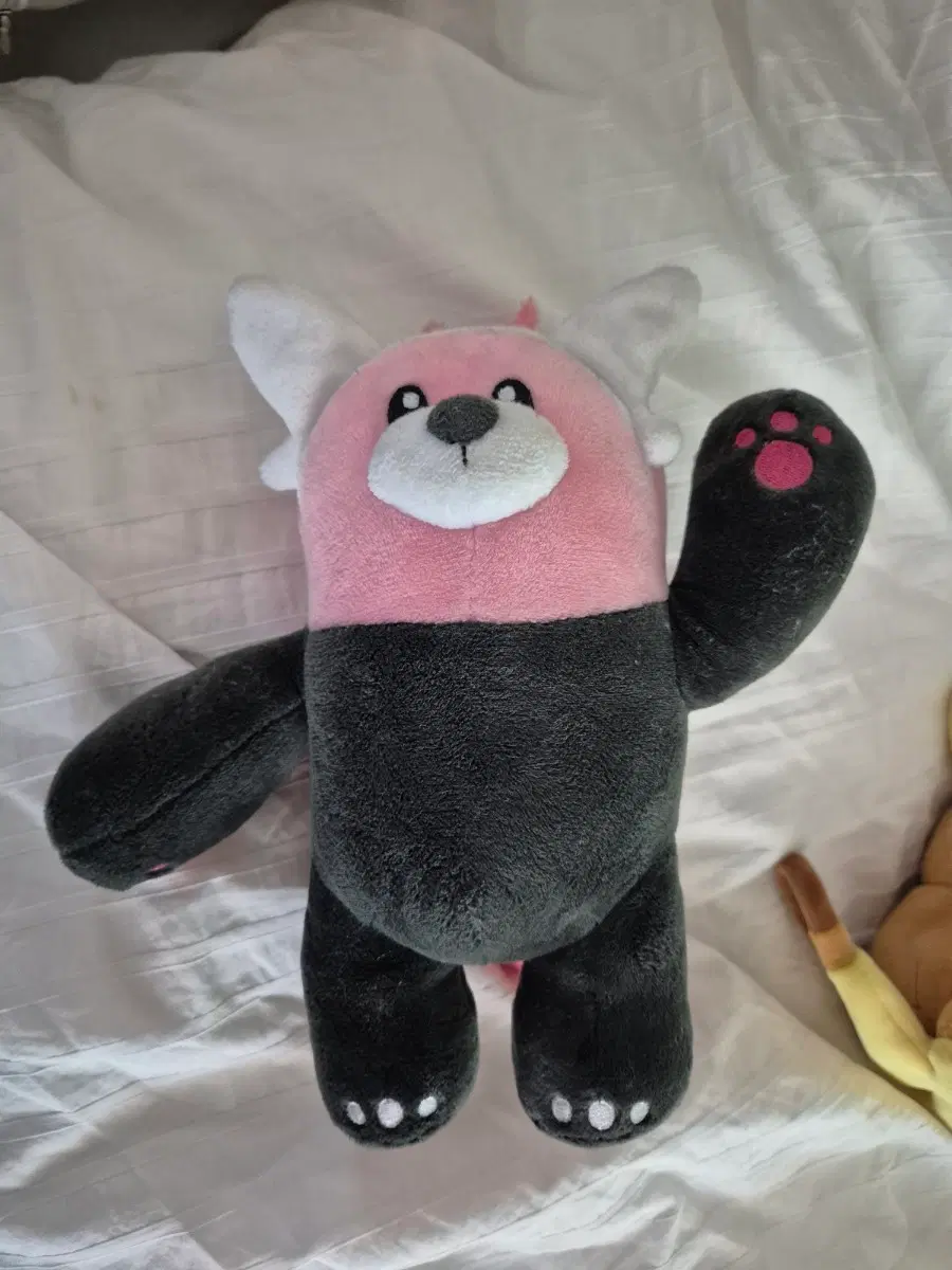포켓몬스터 이븐곰 인형 정품