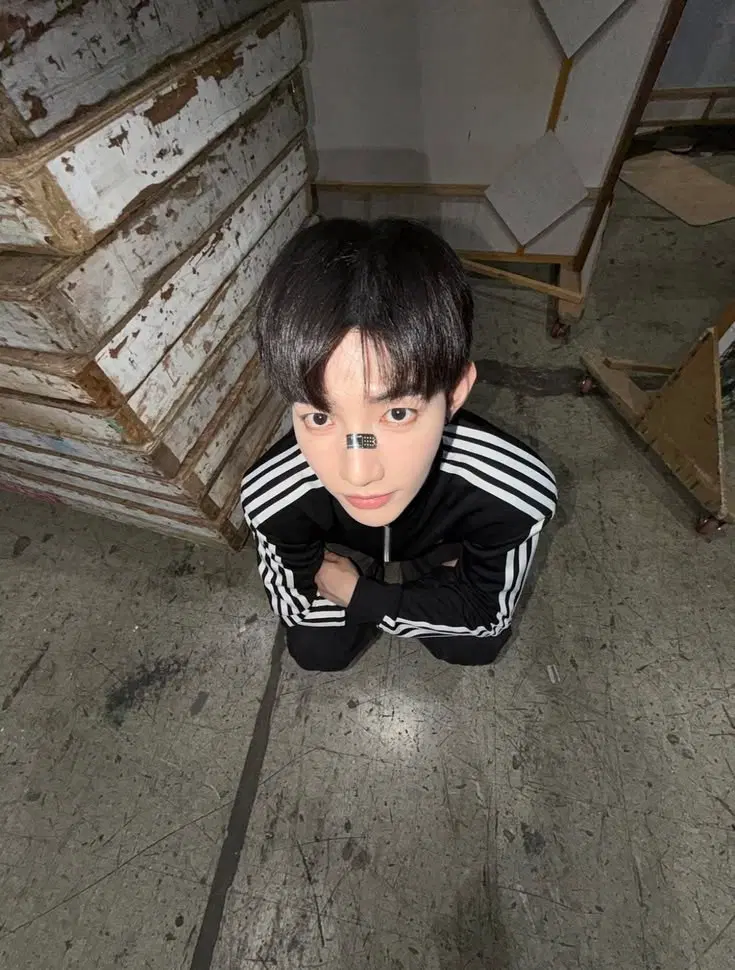 타오바오폰 댈구해드려요