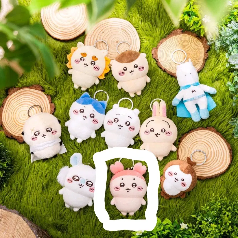 [구해요] 카니(헌책방)  치이카와 파크 미니 마스코트