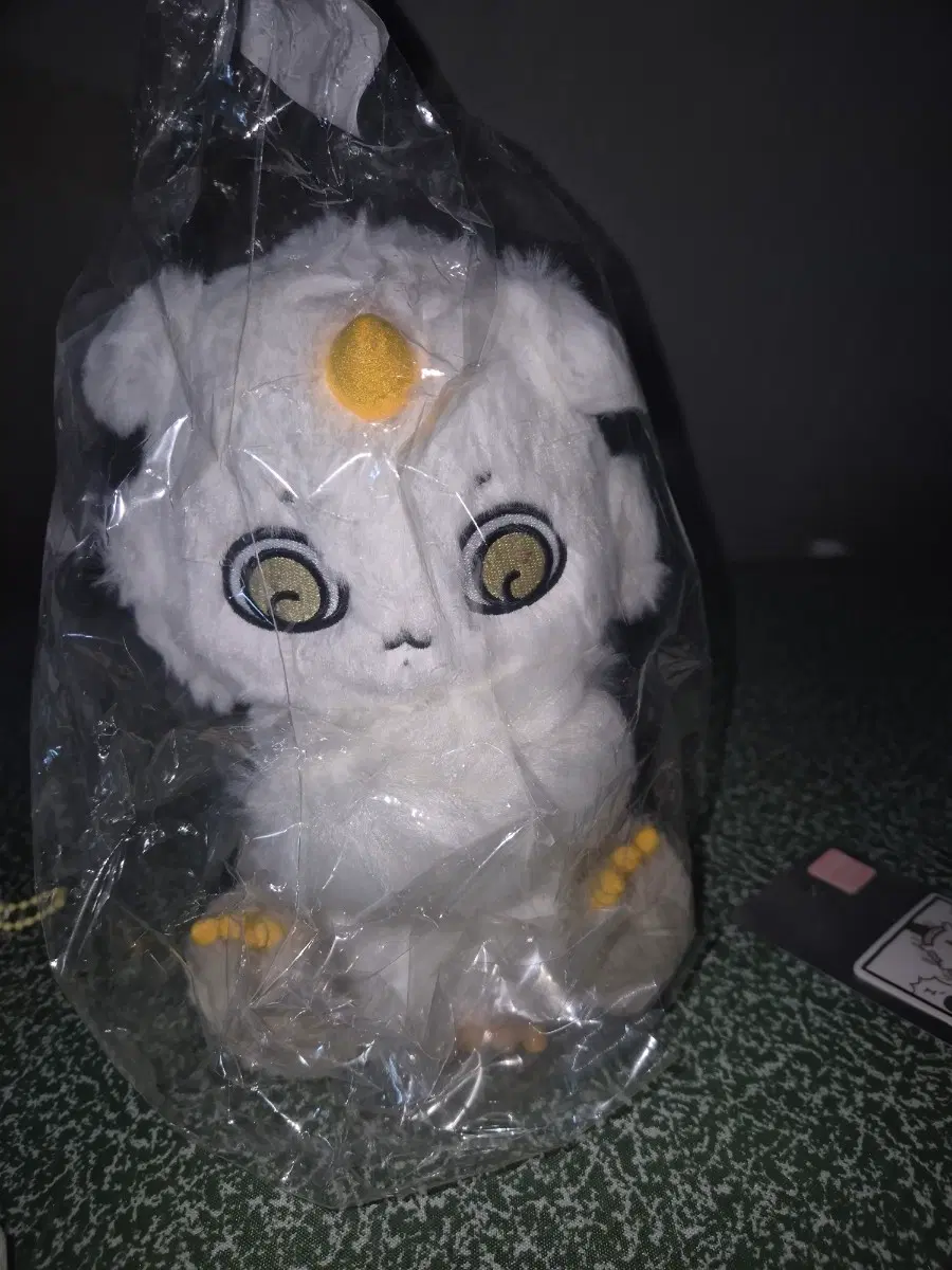 치이카와 아노코 빅누이