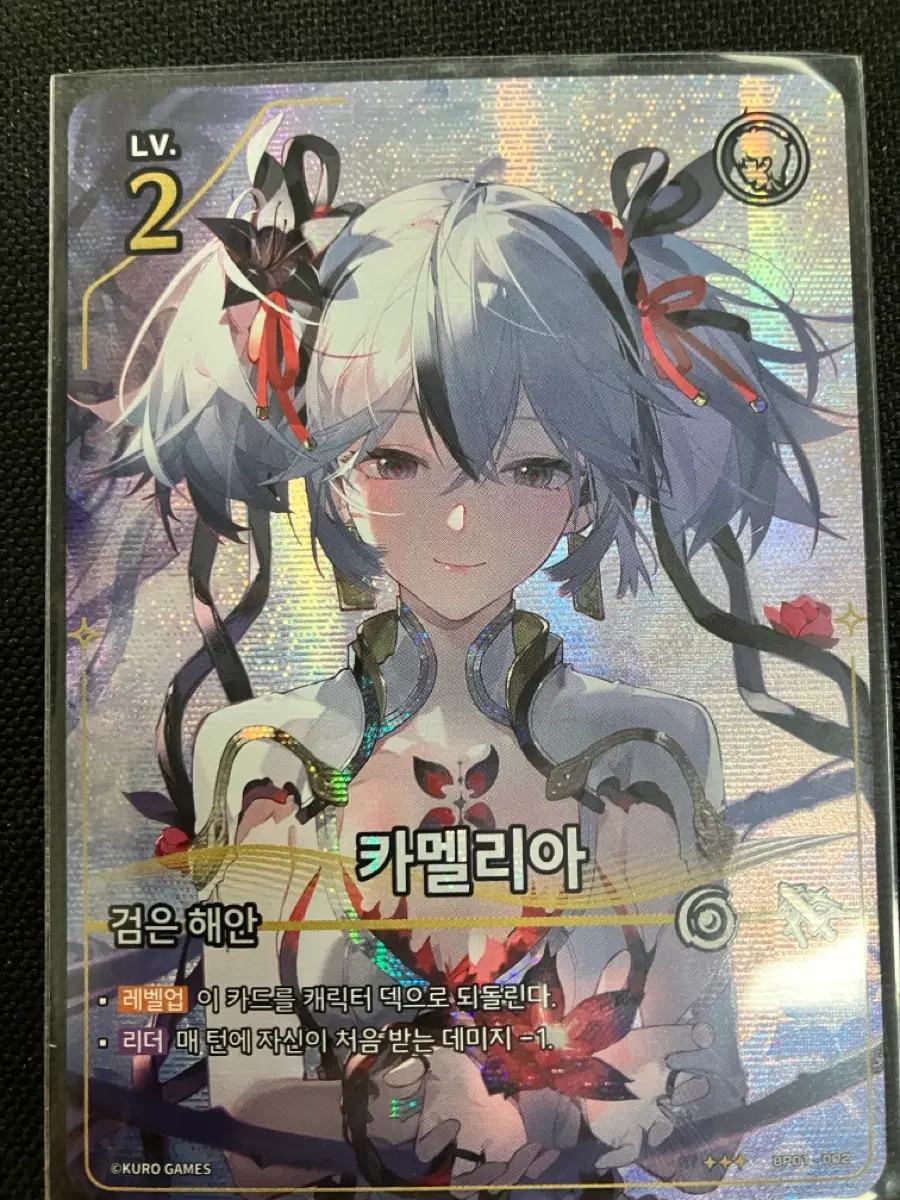 카멜리아 검은 해안 레벨 2 카드 3성