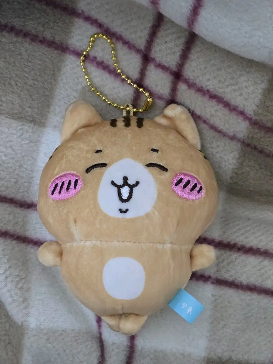 치이카와 하치와레와 친구들 마스코트 인형 누이구루미