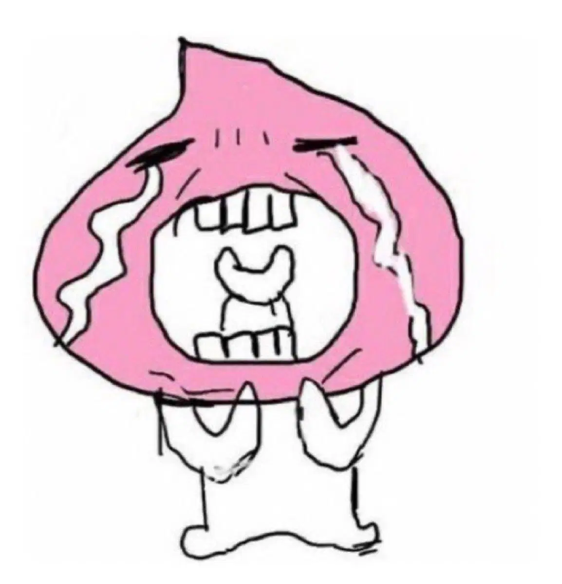 배송신청용