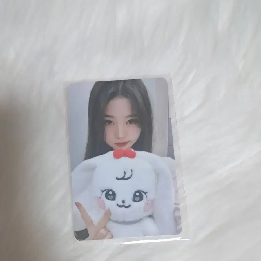 아이브 미니브 체리 인형포카