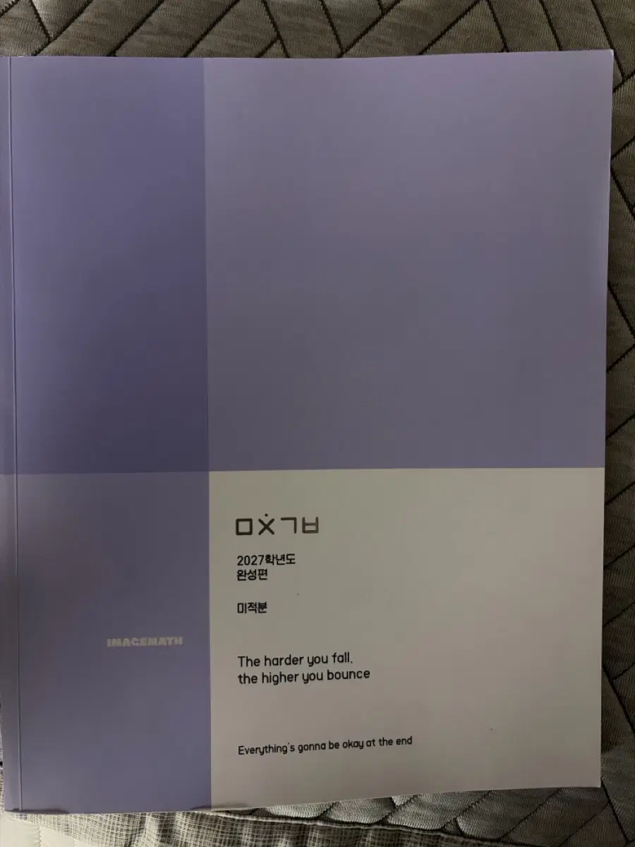 이미지T 2027 미친기분 미적분 팝니다!
