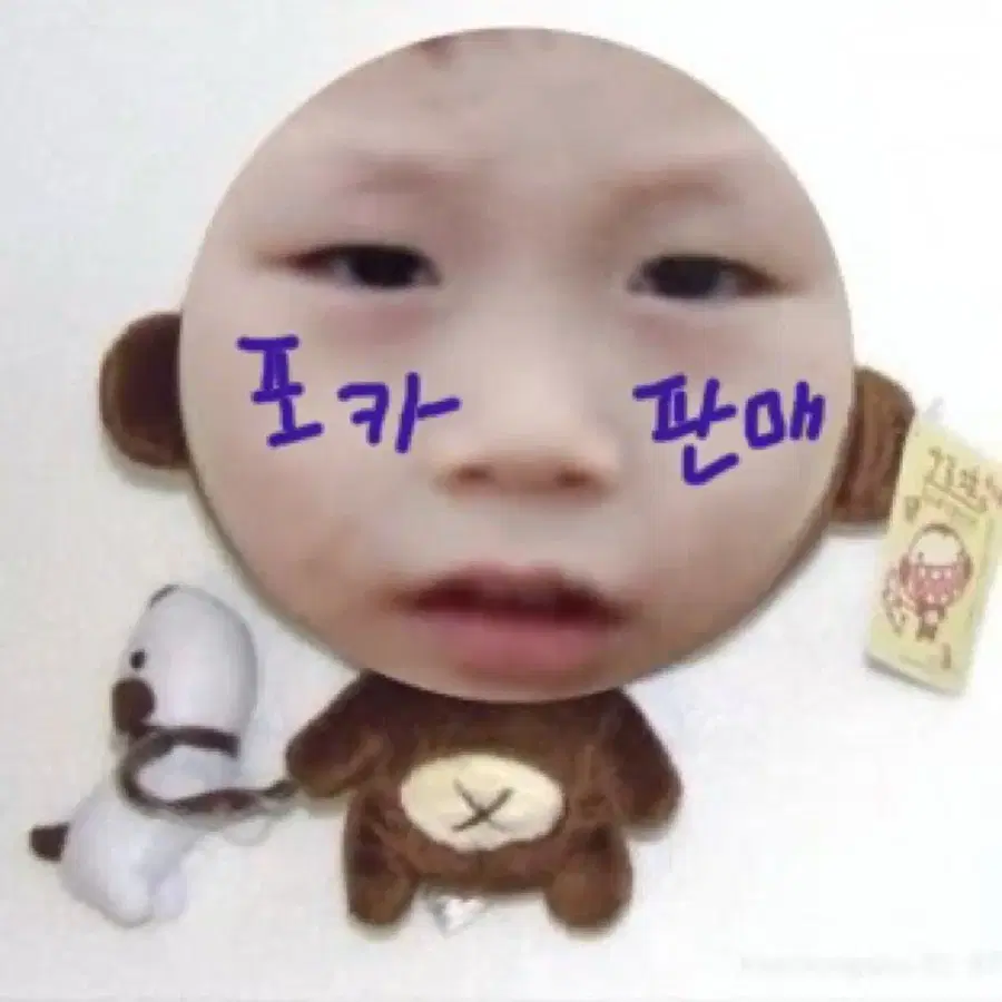 보넥도 포카 판매