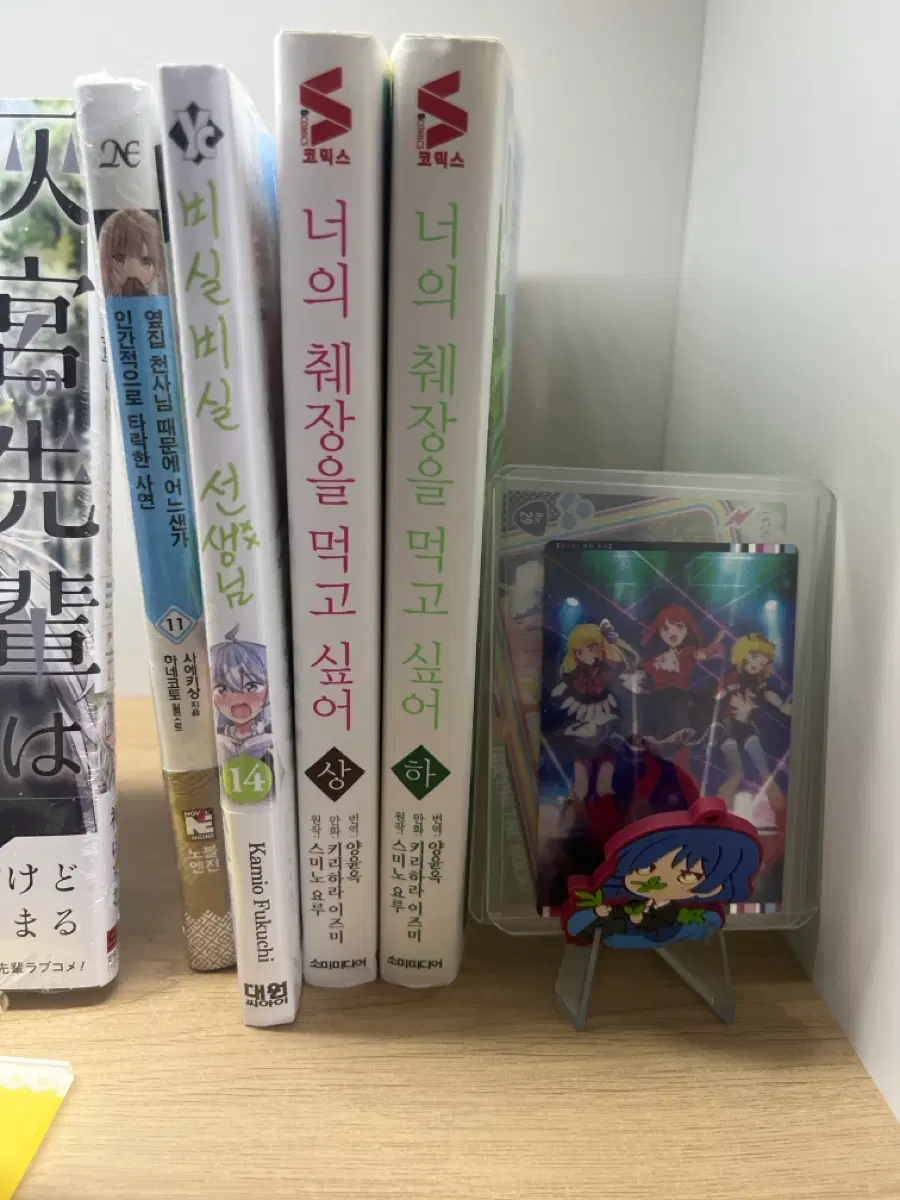 너의 췌장을 먹고싶어,비실비실 선생, 옆집천사