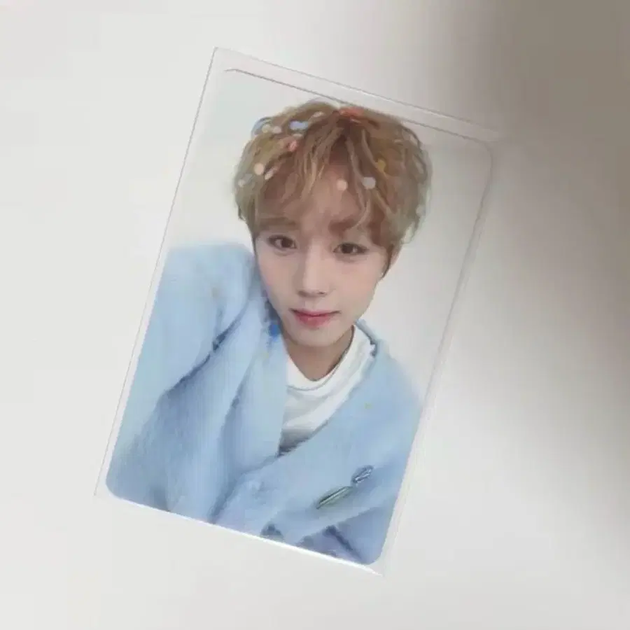 박지훈 2025 생일카페 포카 밀크글라스 포카