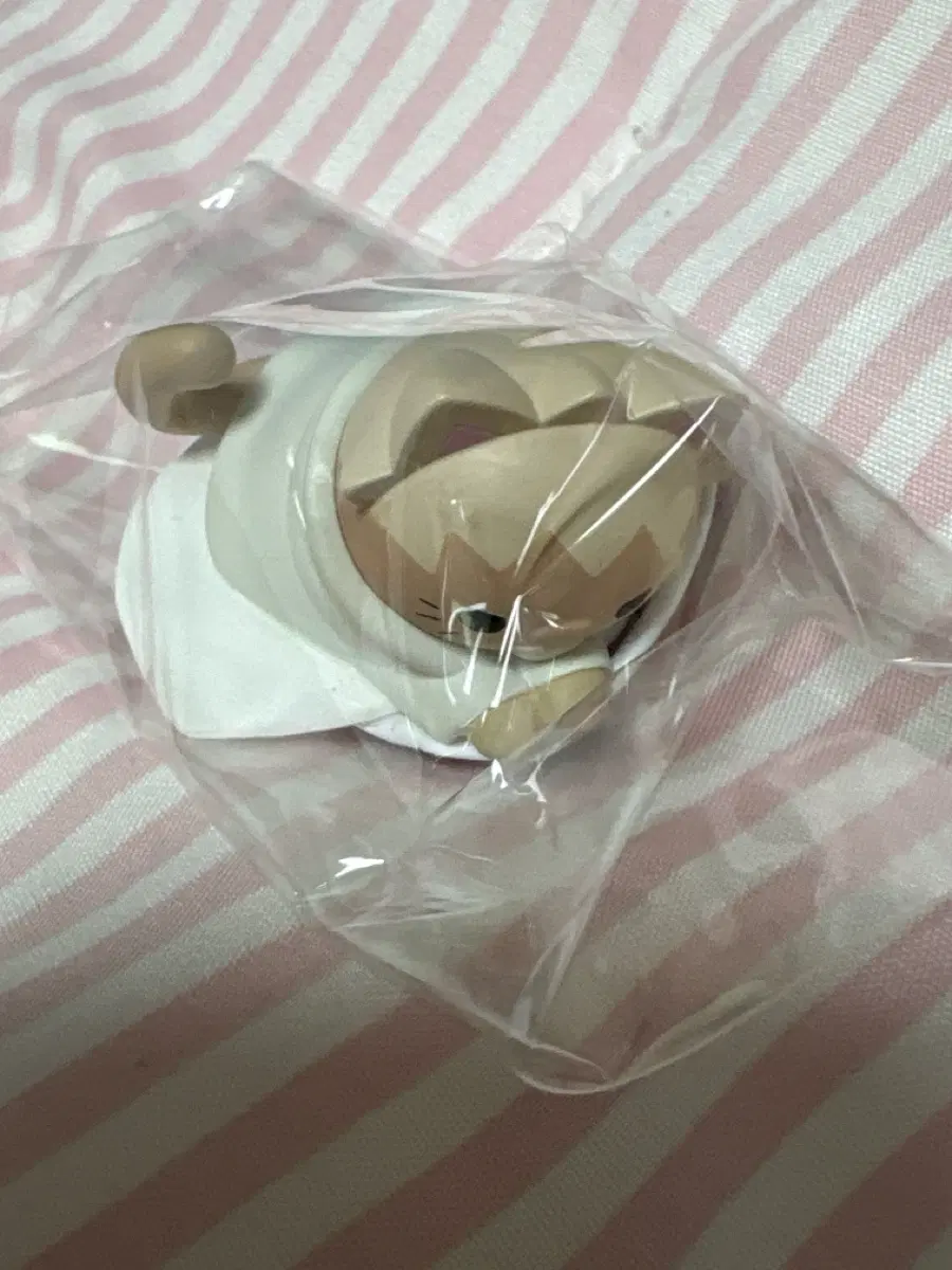 히루젠 사제인연 메가캣 나루토
