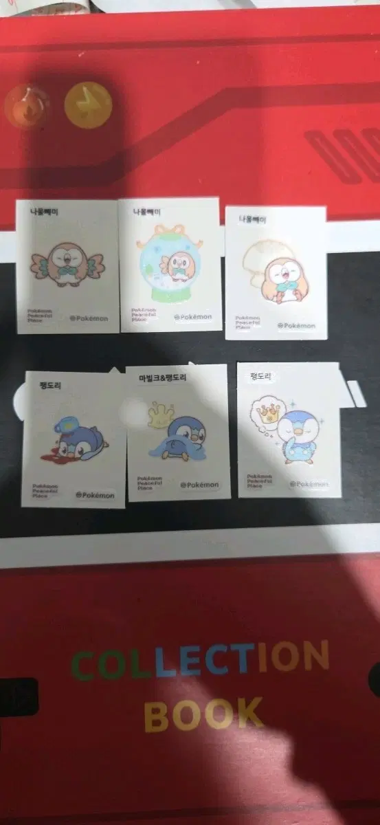 포켓몬 피스 나몰빼미 팽도리