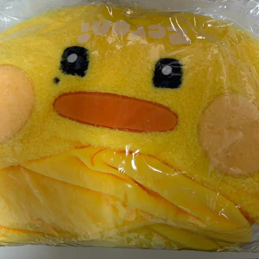 제로베이스원 김태래 태니니 담요
