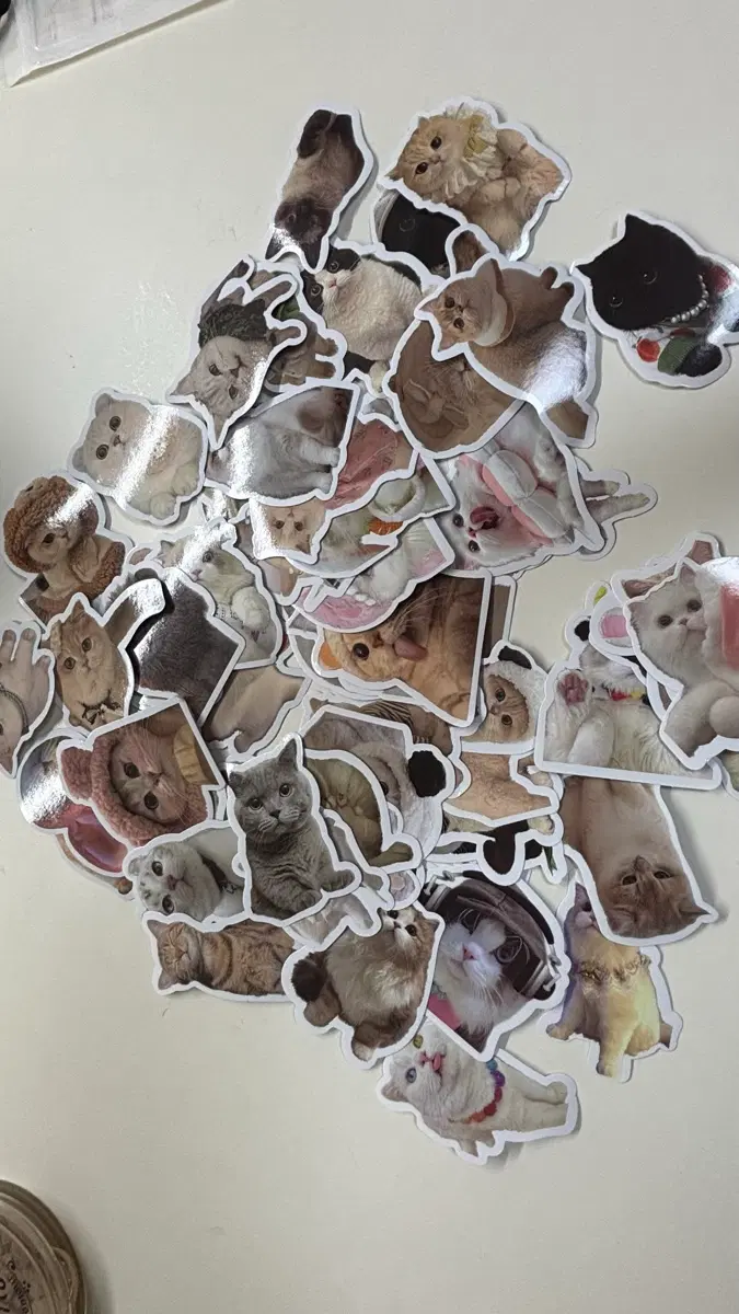고양이 스티커 꾸미기 스티커 다꾸