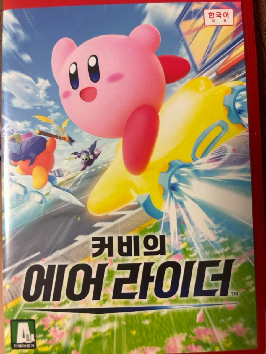 커비의 에어라이더