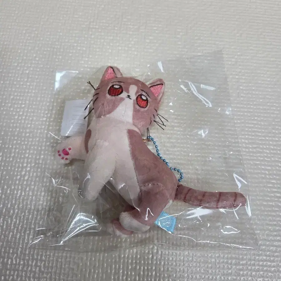 즛토마요 생강 누이