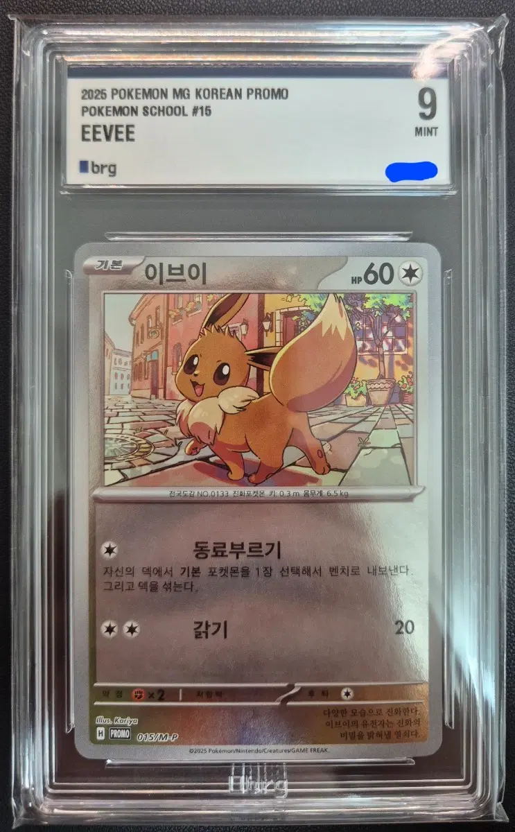 포켓몬 카드 brg 9 이브이 포캣몬 스쿨 프로모 015/M-P